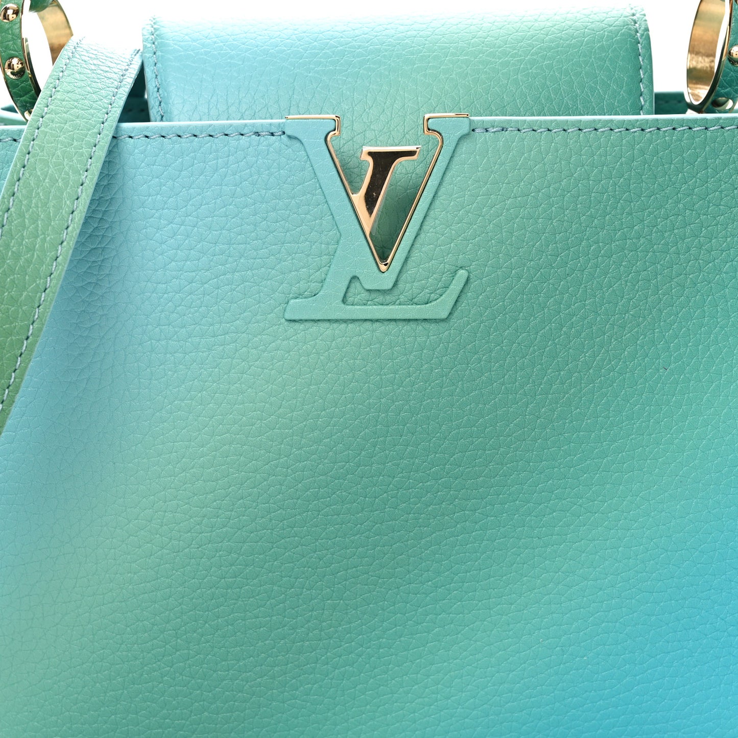 Taurillon Gradient Capucines BB  Bleu Vert