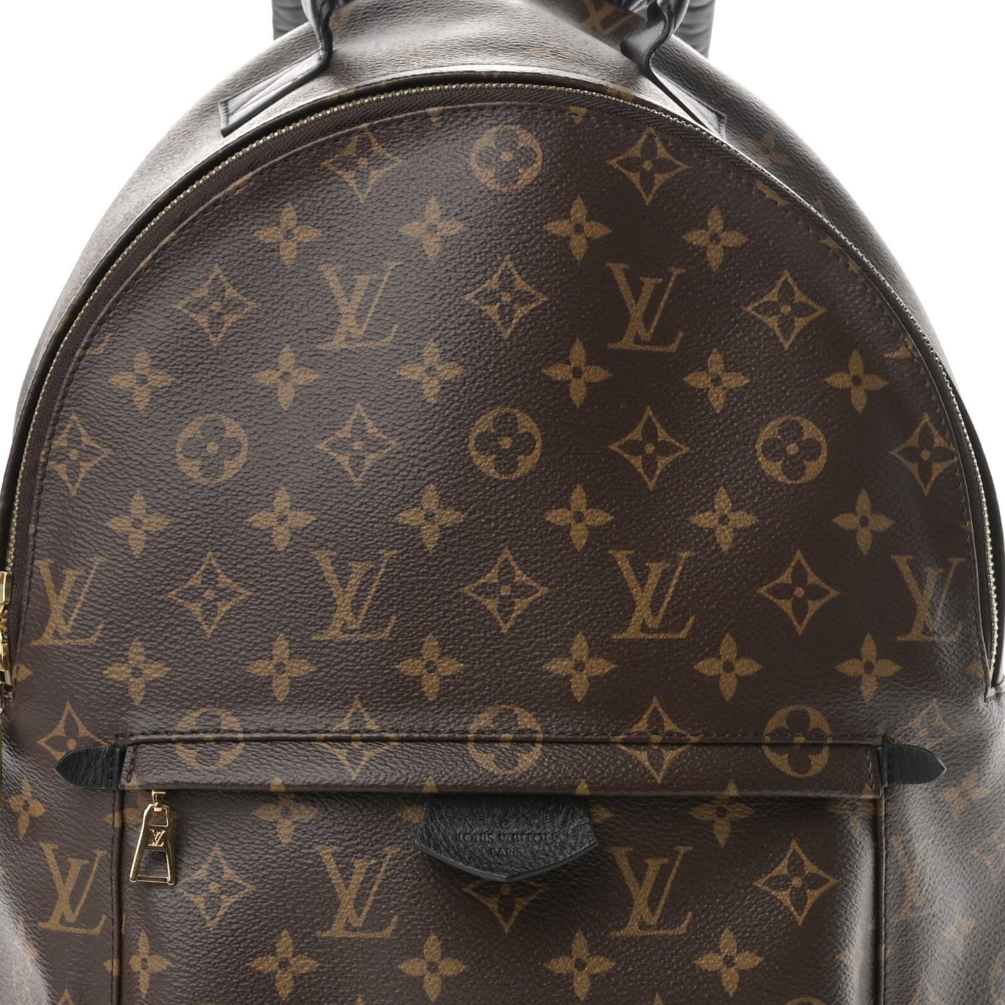 Monogram Palm Springs Backpack MM