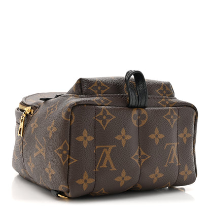 Louis Vuitton Monogram Palm Springs Backpack Mini 4 of 11
