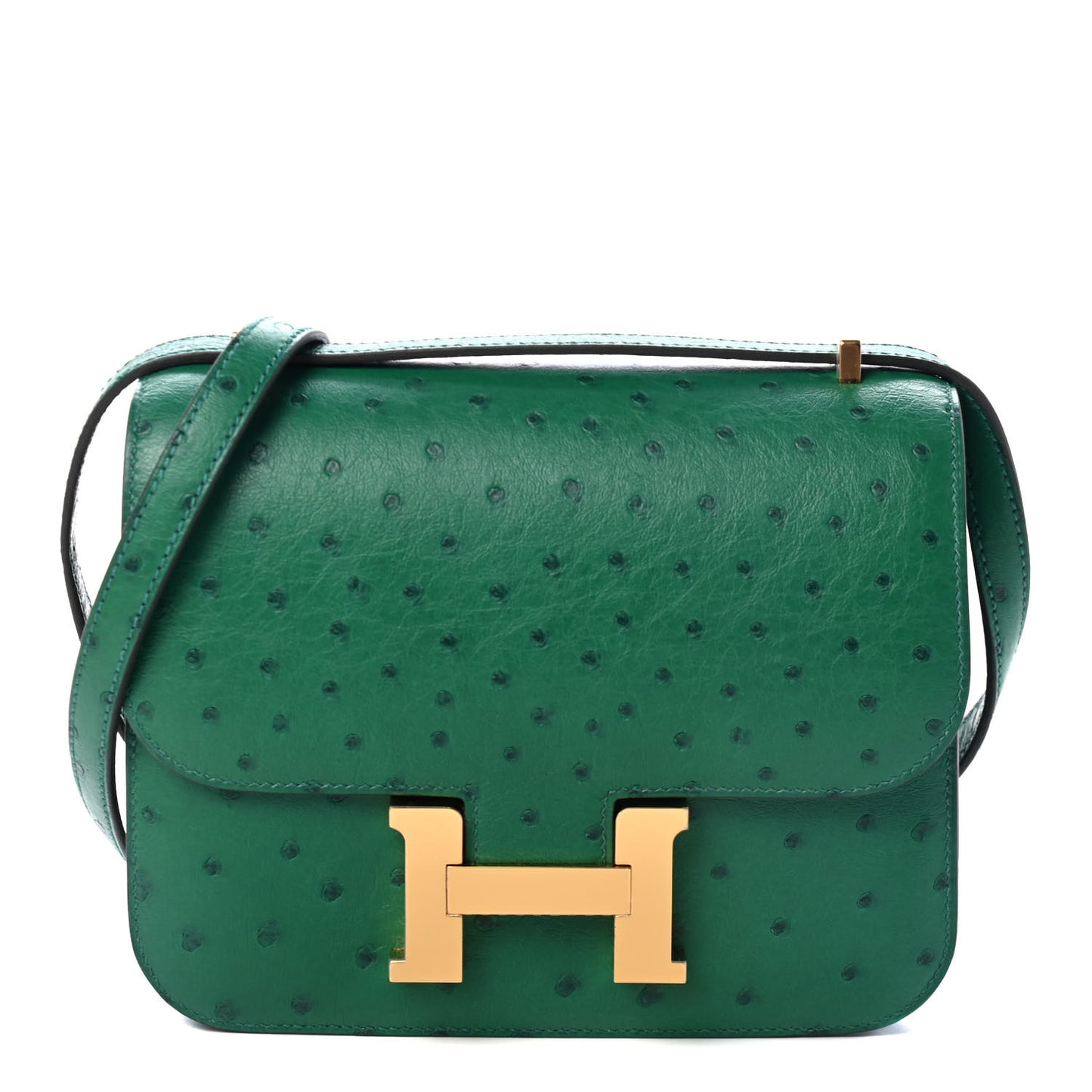 Ostrich Constance 18 Vert Vertigo