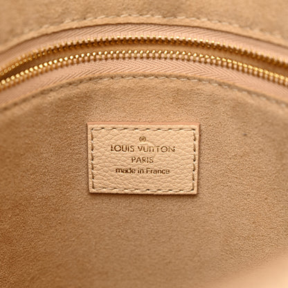 Louis Vuitton Taurillon Volta Mocaccino 6 of 12