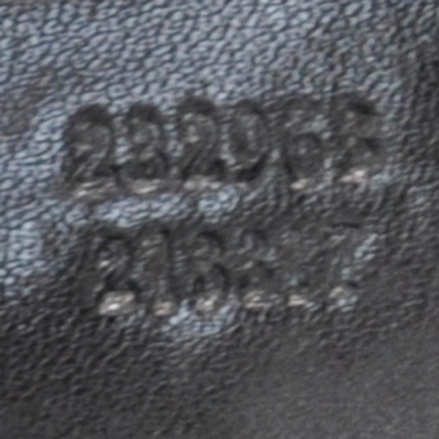 Monogram Twins Medium Shoulder Bag