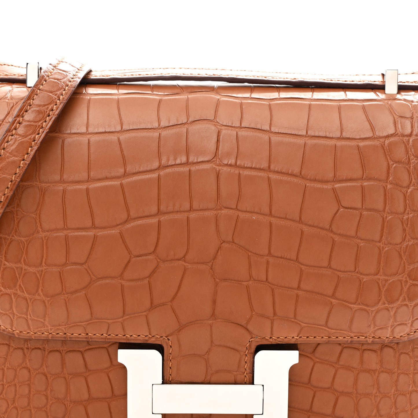 Matte Alligator Constance 18 Gold