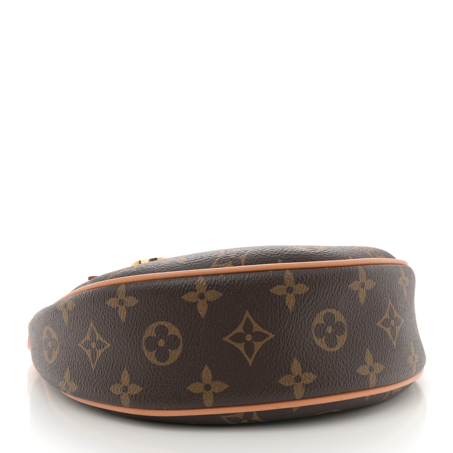 Louis Vuitton Monogram Loop 4 of 9