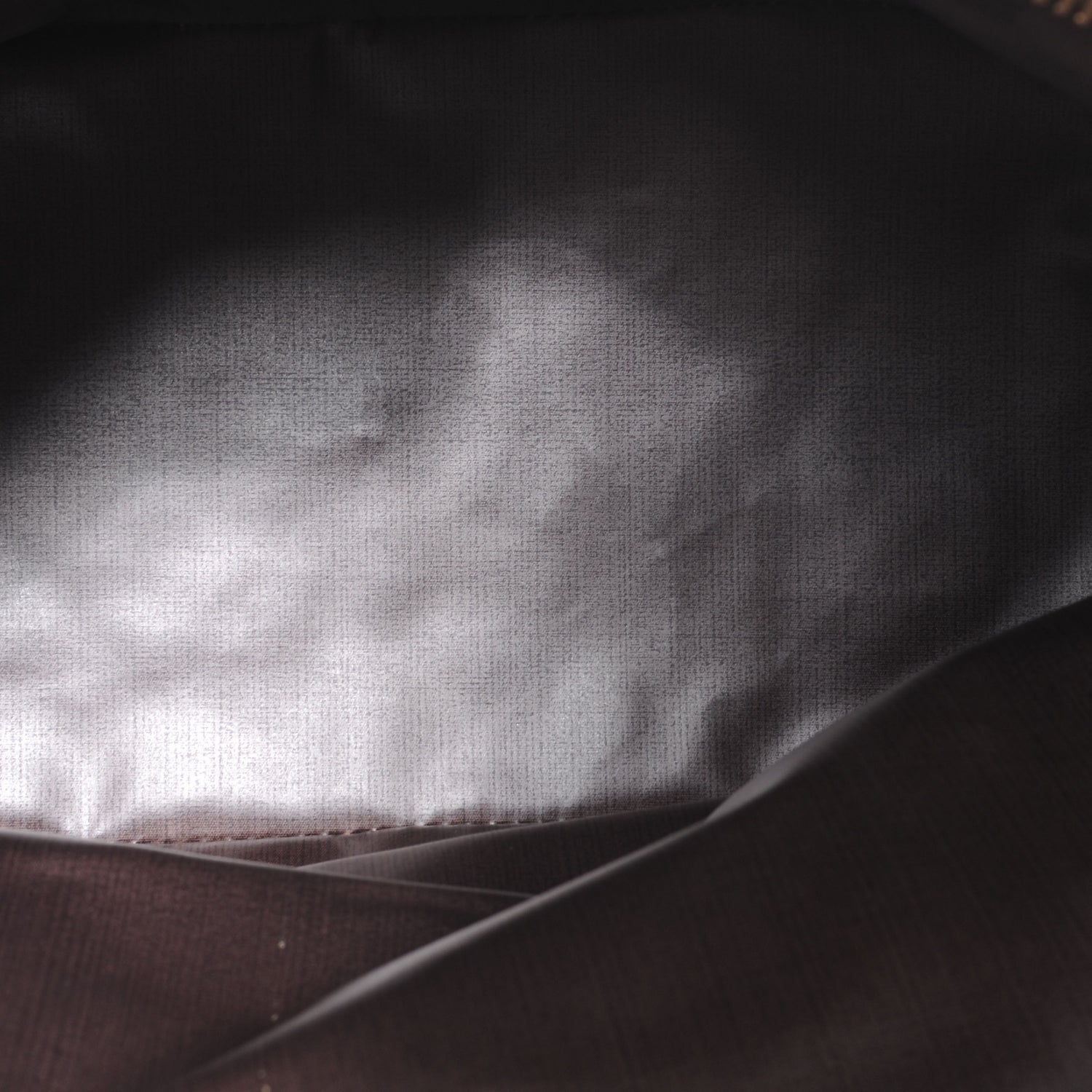 Louis Vuitton French Company Sac Chien Dog Pet Carrier 5 of 6