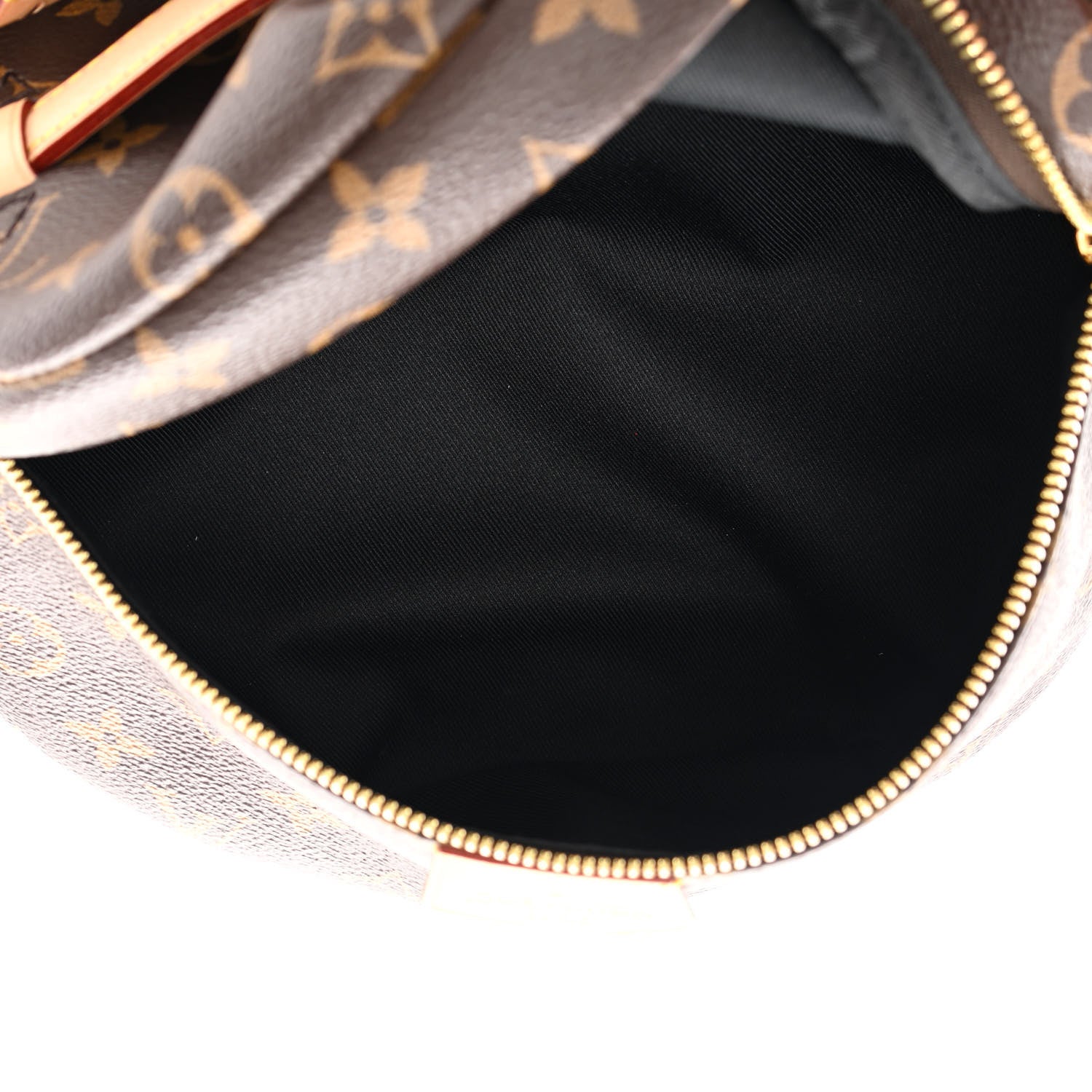 Louis Vuitton Monogram Bumbag 5 of 13