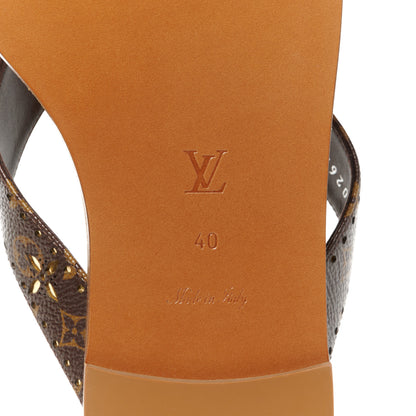 Louis Vuitton Monogram Sunny Flat Thong Sandals 40 Brown 6 of 8