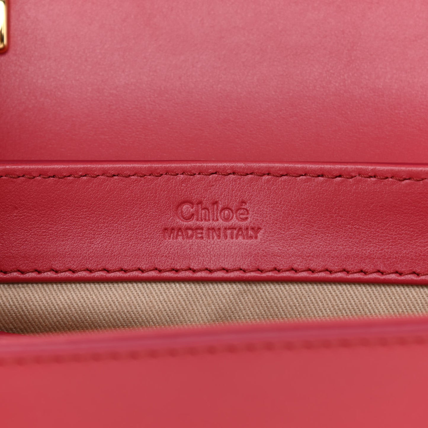 Shiny Calfskin Suede Mini C Double Carry Scarlet Pink