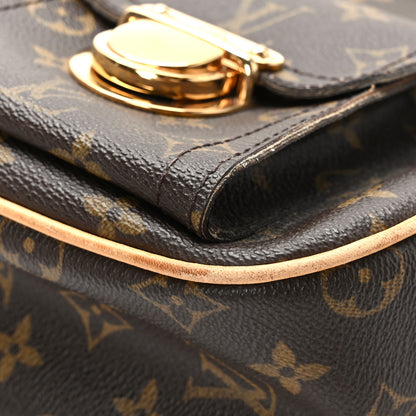 Louis Vuitton Monogram Hudson GM 9 of 9