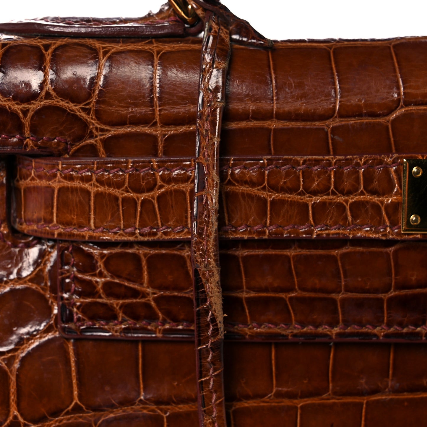 Shiny Niloticus Crocodile Kelly Sellier 28 Miel