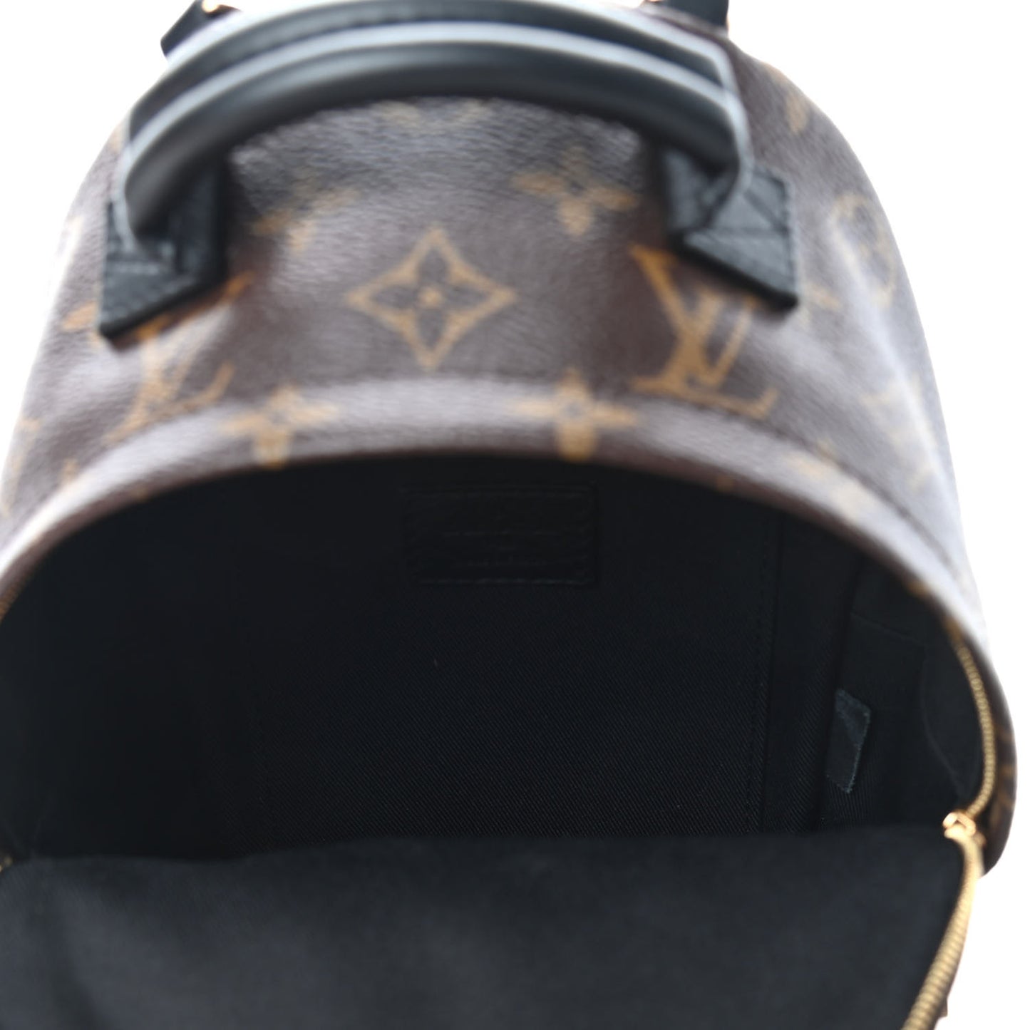 Monogram Palm Springs Backpack Mini