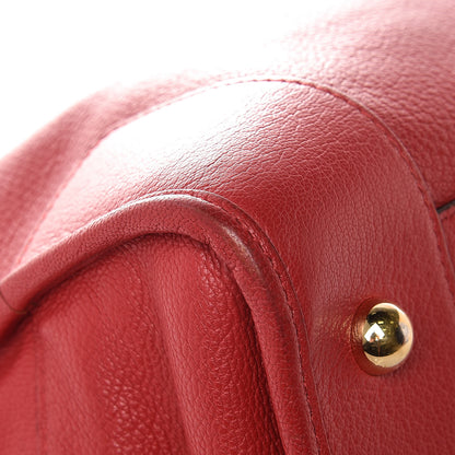 Loewe Goatskin Amazona Red 10 of 15