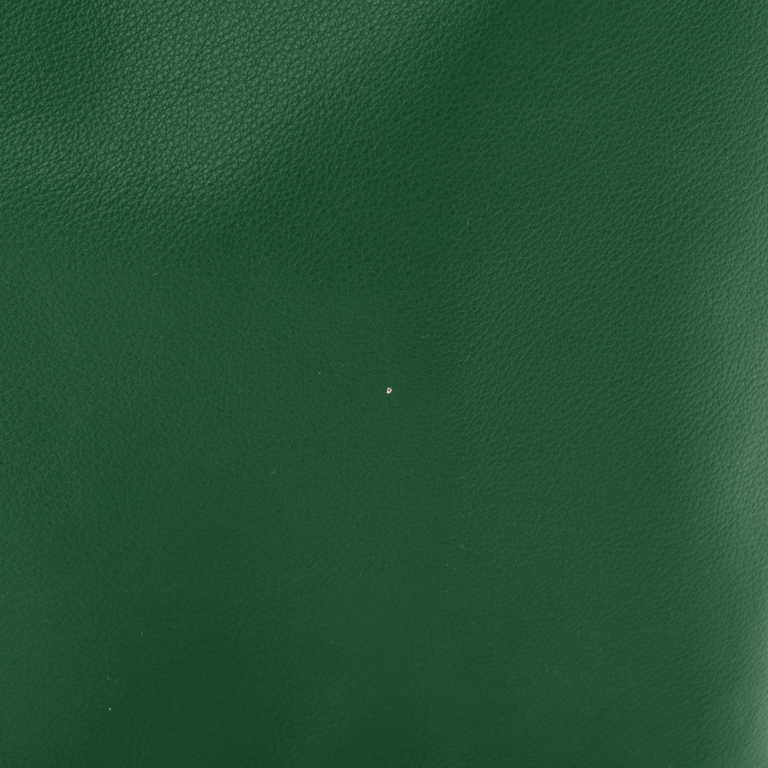 Goyard Goyardine Reversible Mini Anjou Green 19 of 19