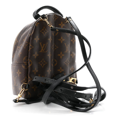 Louis Vuitton Monogram Palm Springs Backpack Mini 5 of 21