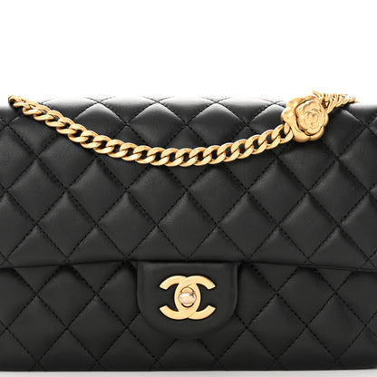 Chanel Lambskin Quilted Small Sweet Camellia Flap Black 8 of 15