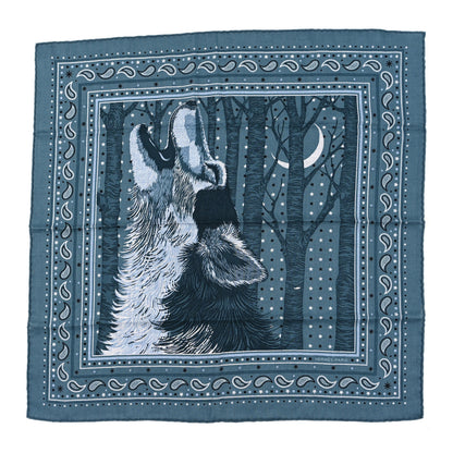 Hermes Cashmere Silk Awooooo Scarf 65 Celadon Gris Clair Black 1 of 3