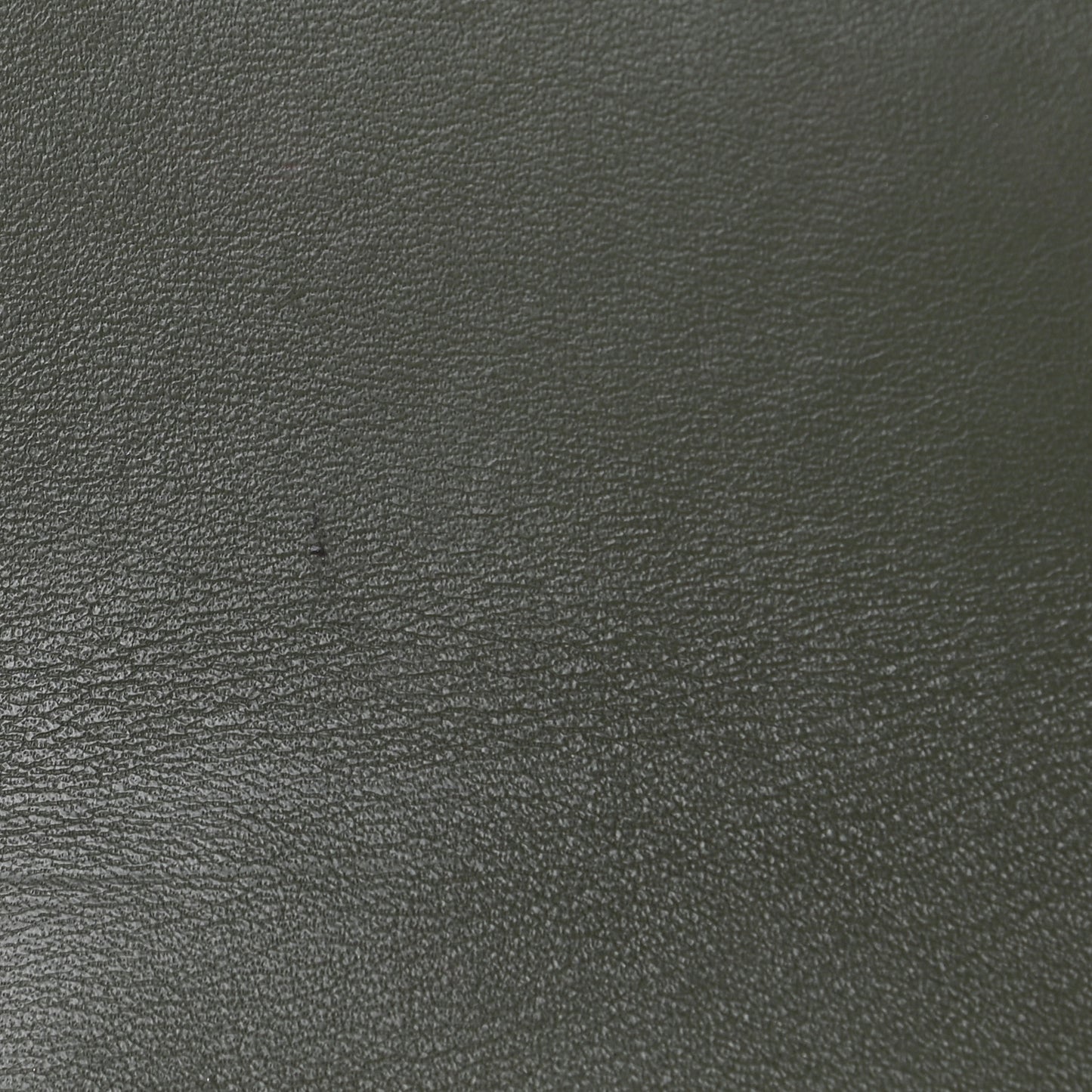 Calfskin Crocodile Embossed Mini C Double Carry Misty Forest