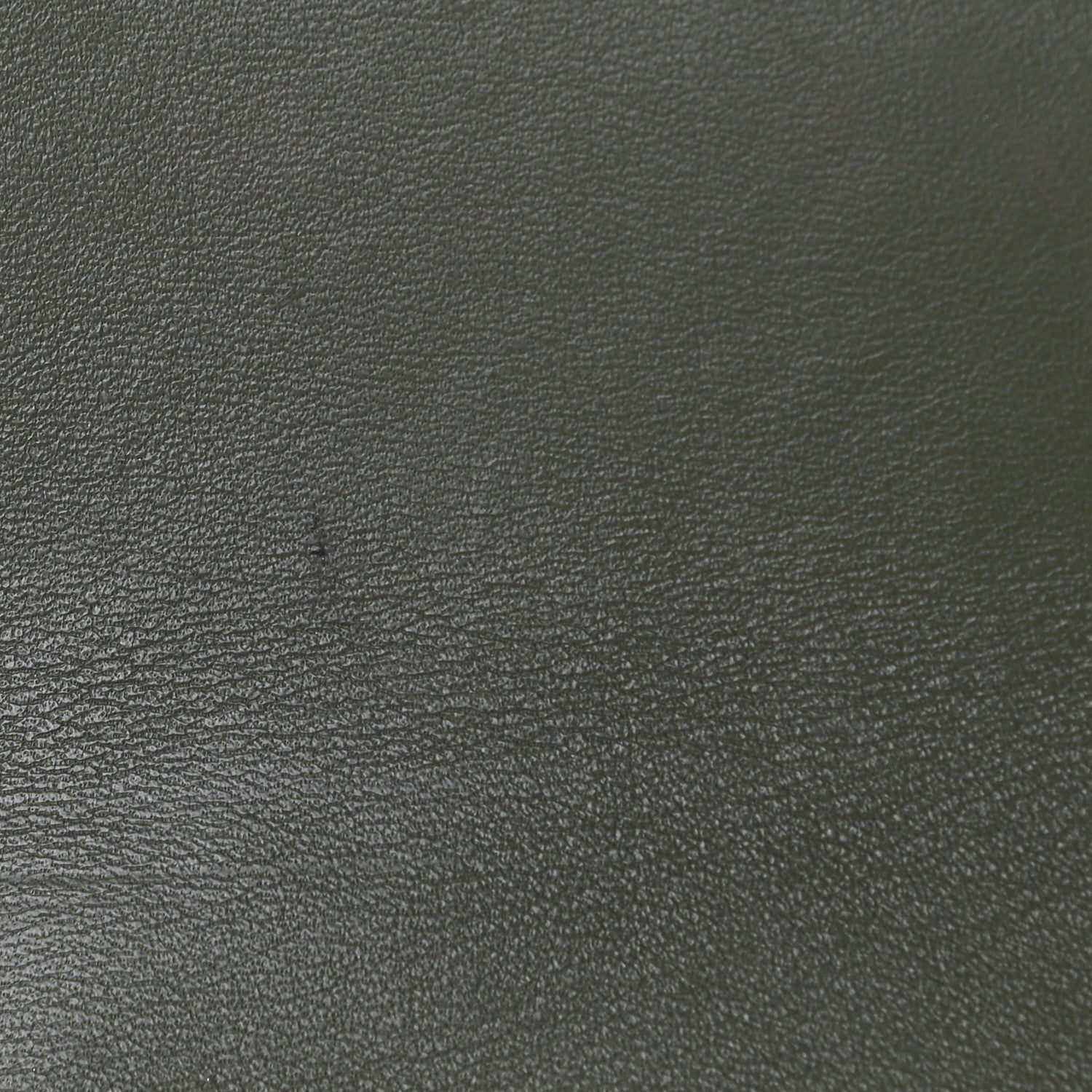 Chloe Calfskin Crocodile Embossed Mini C Double Carry Misty Forest 8 of 10