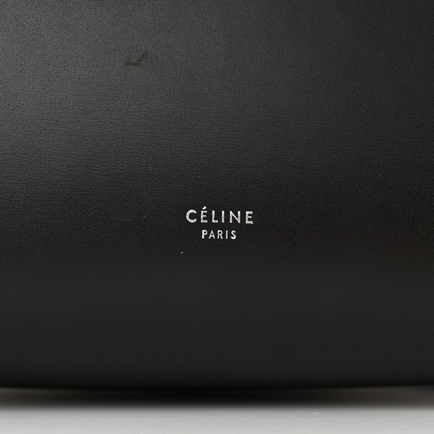 Celine Palmelato Calfskin Mini Belt Bag Espresso 7 of 16
