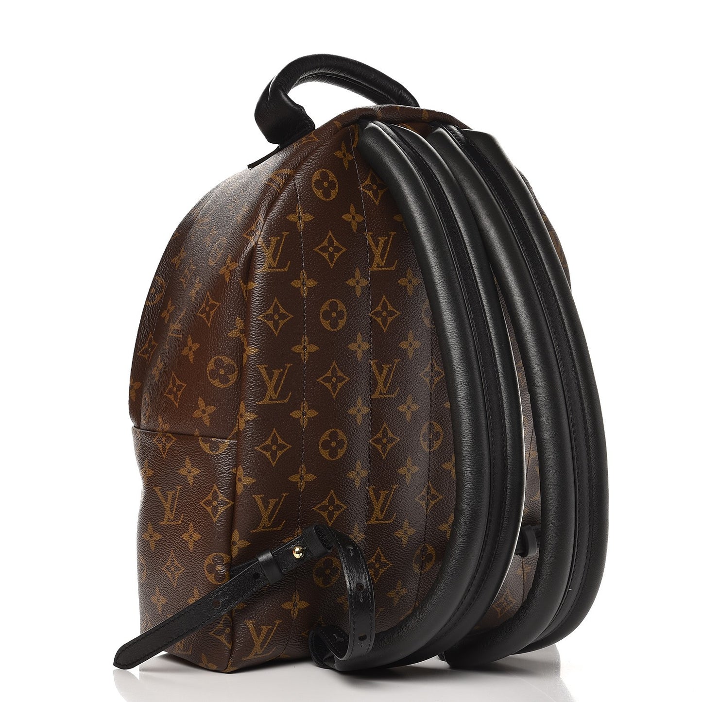 Monogram Palm Springs Backpack MM