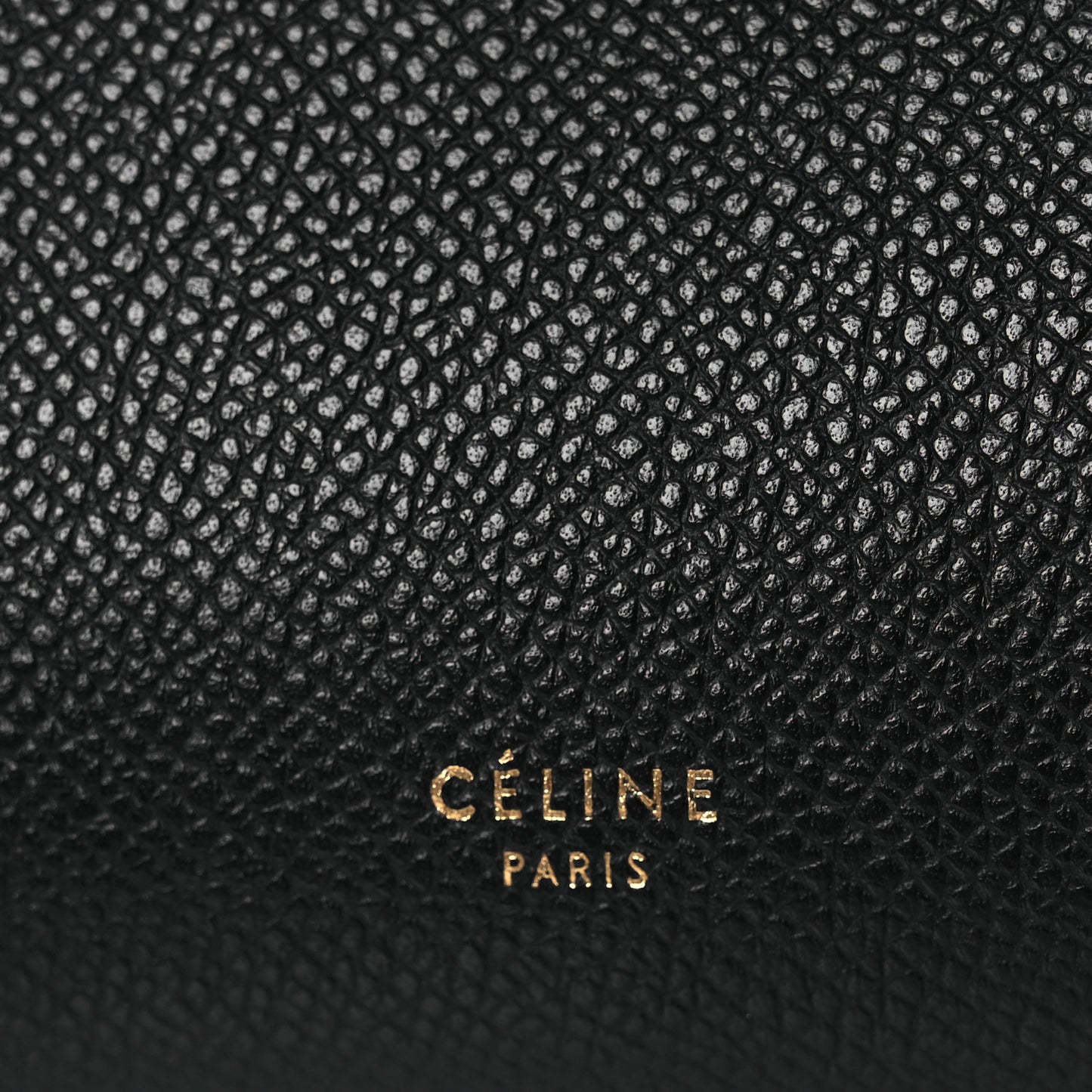 Grained Calfskin Mini Belt Bag Black