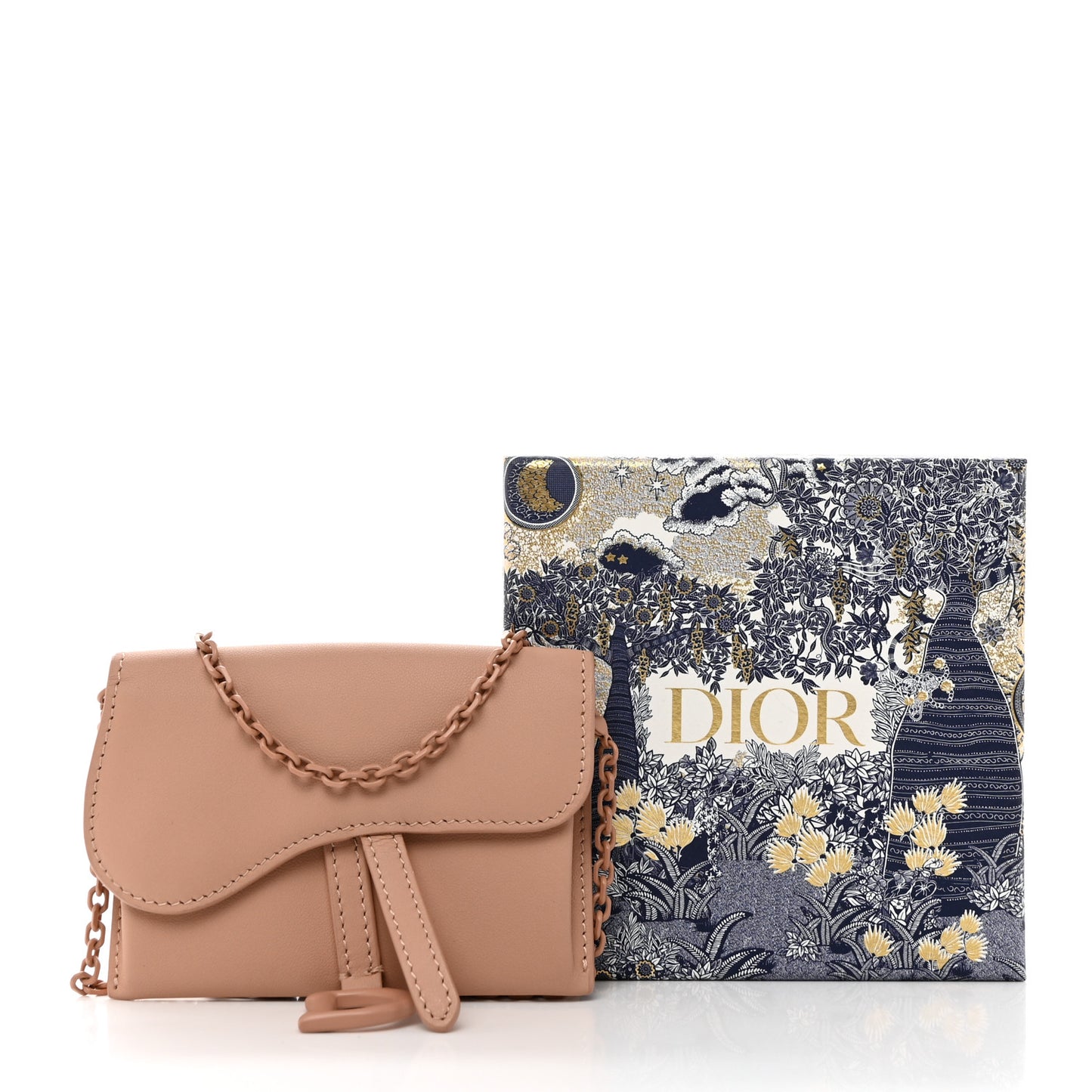 Ultra Matte Calfskin Nano Saddle Chain Pouch Rose Des Vents