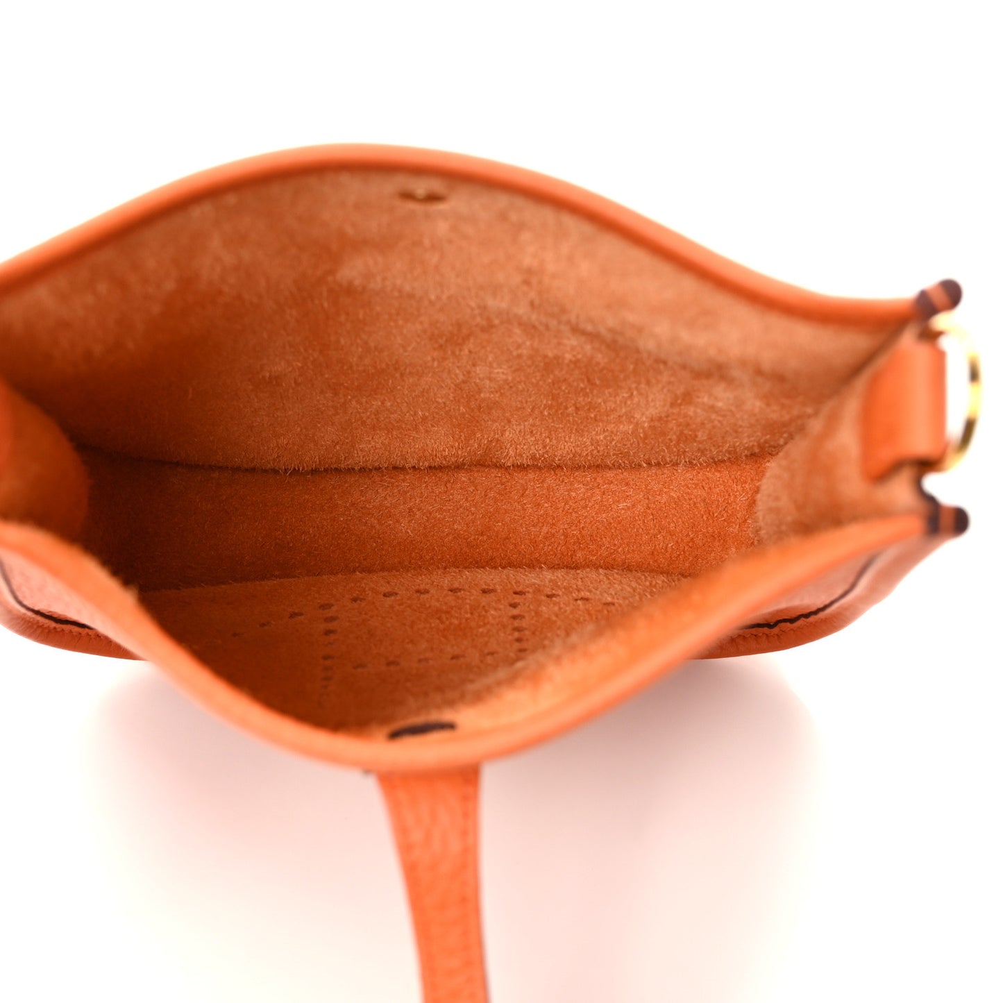 Taurillon Clemence Evelyne TPM Orange