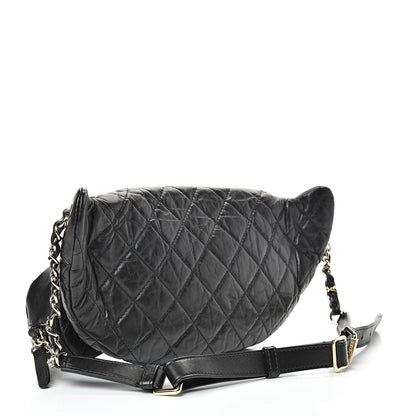 Chanel Aged Calfskin Quilted Waist Bag With Coin Purse Black 2 of 9