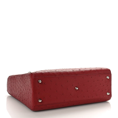 Christian Dior Ostrich Large Lady Dior Dark Brick 4 of 8