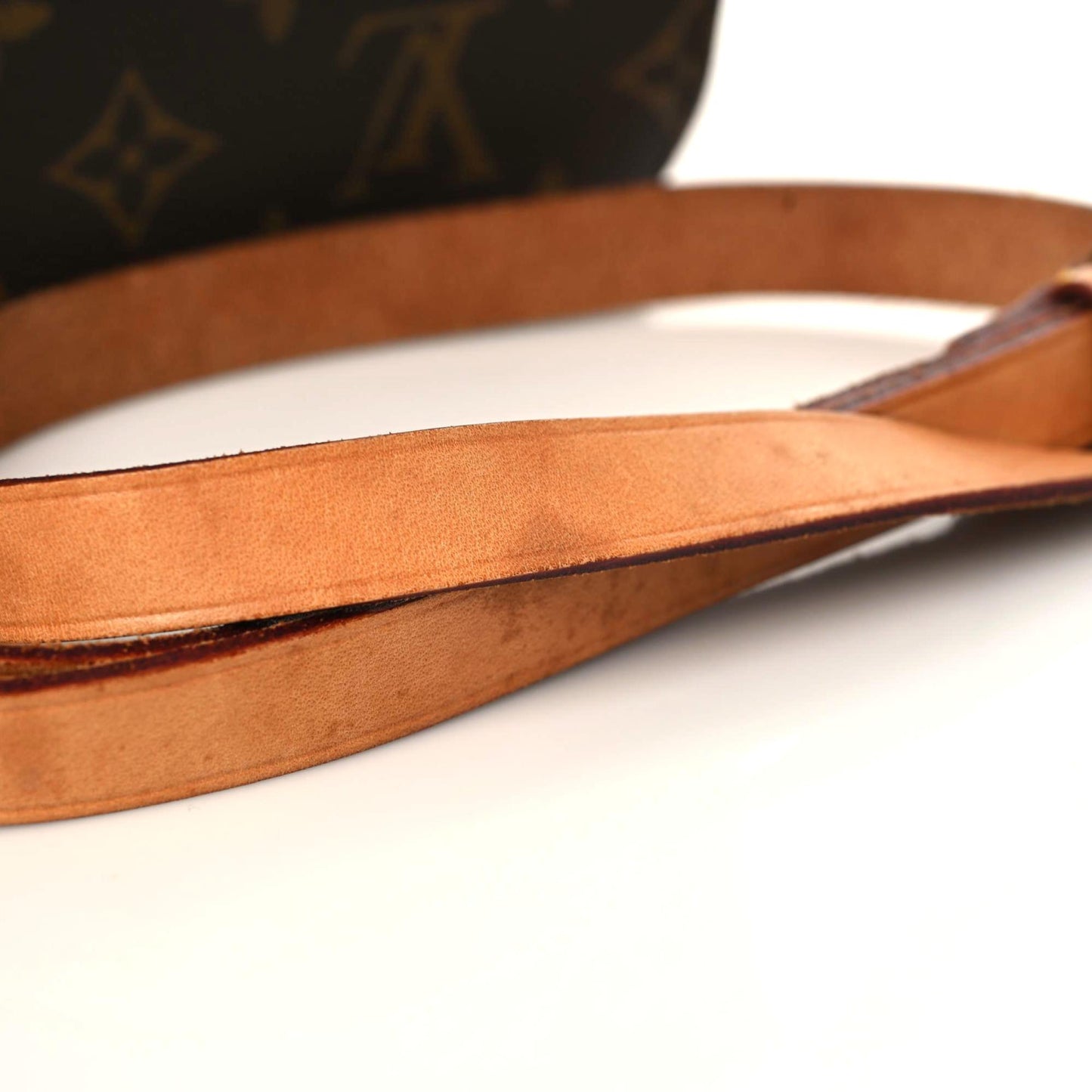 Monogram Cartouchiere 17