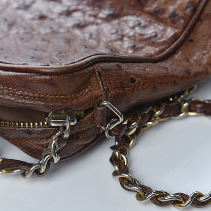Chanel Ostrich Tassel Camera Case Brown 12 of 24