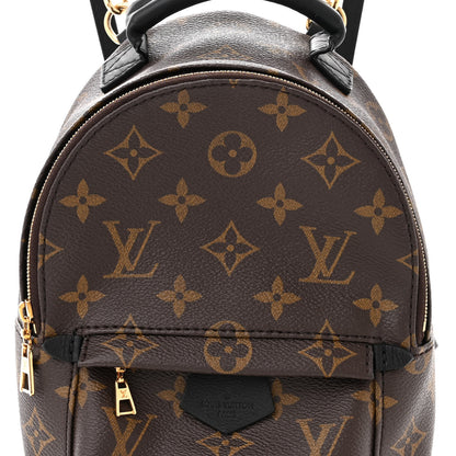 Louis Vuitton Monogram Palm Springs Backpack Mini 7 of 10