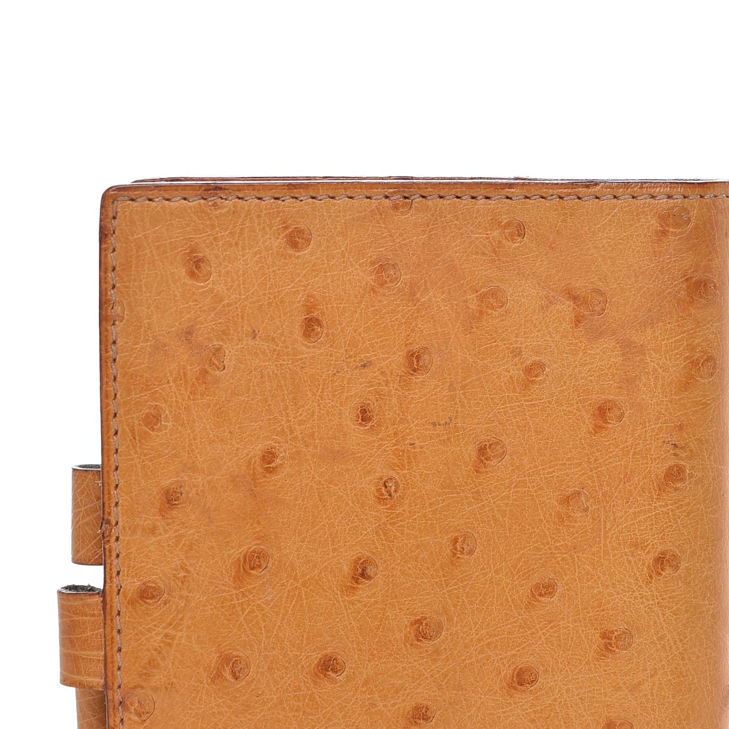 Ostrich Vision Agenda Cover PM Gold