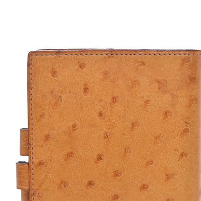 Hermes Ostrich Vision Agenda Cover PM Gold 10 of 12