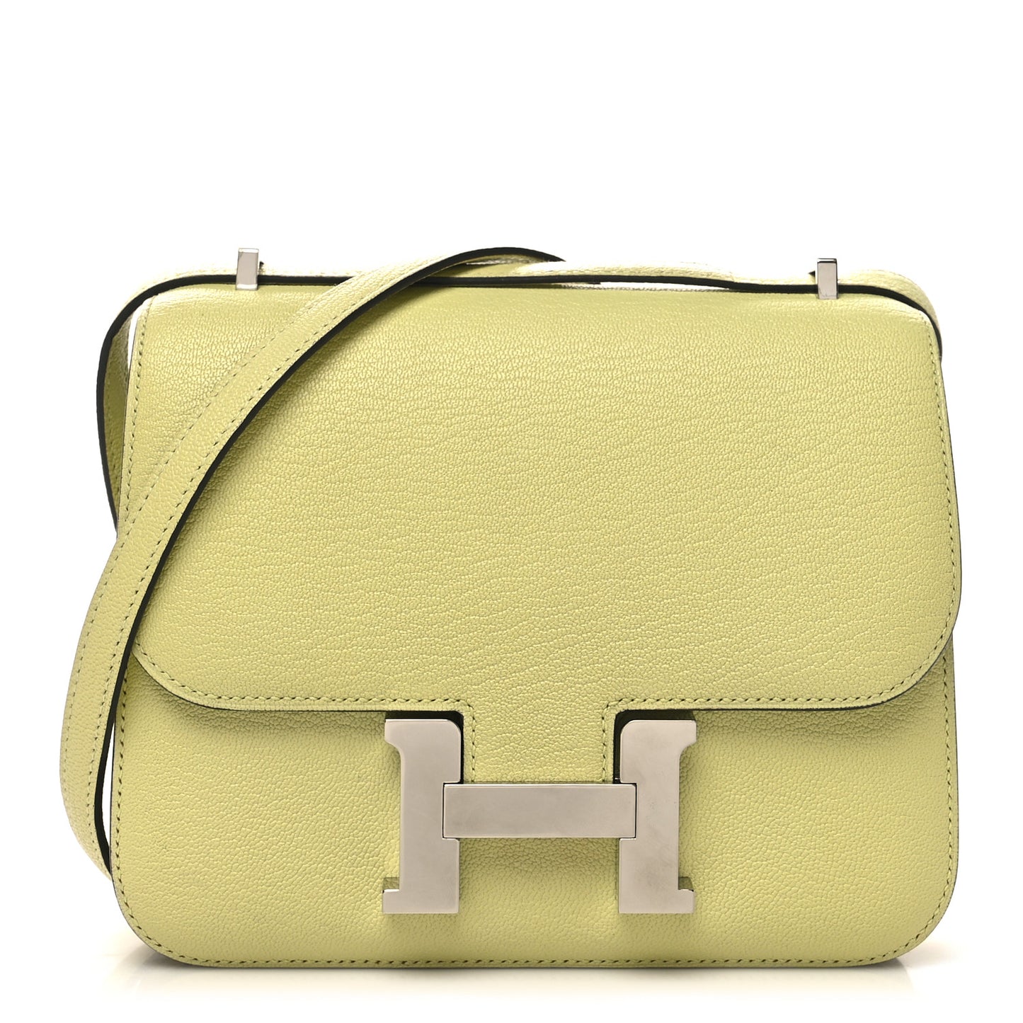 Chevre Mysore Constance 18 Jaune Bourgeon