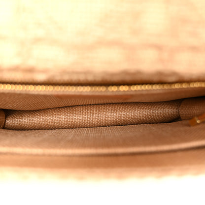 Christian Dior Raffia Calfskin 30 Montaigne Flap Bag Beige 5 of 11