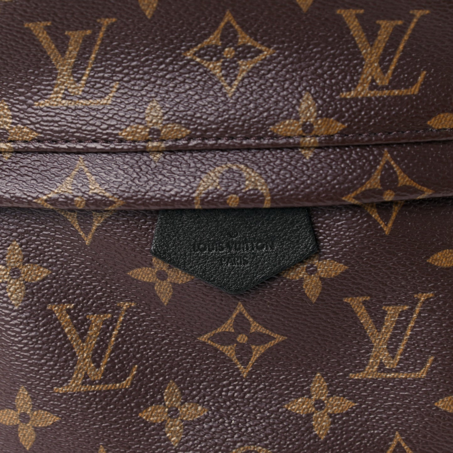 Monogram Palm Springs Backpack PM