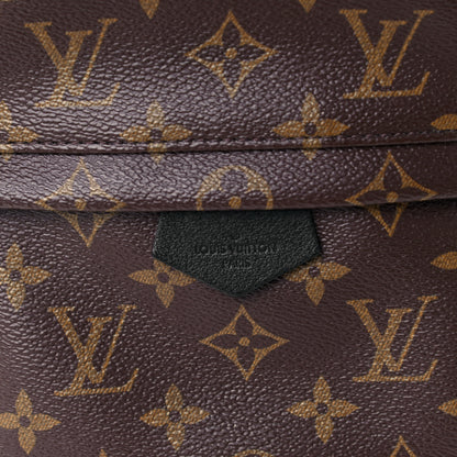 Louis Vuitton Monogram Palm Springs Backpack PM 7 of 10