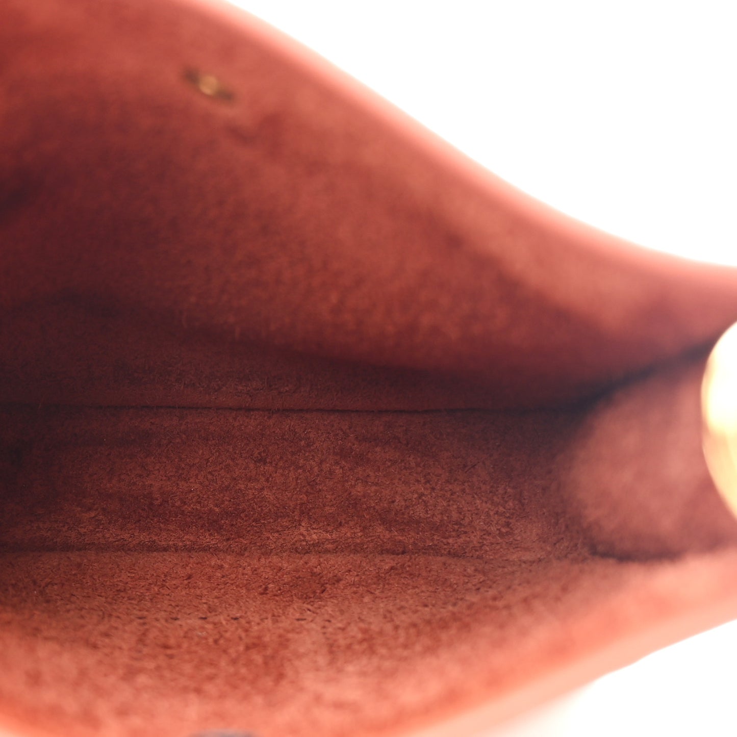 Taurillon Clemence Evelyne TPM Cuivre