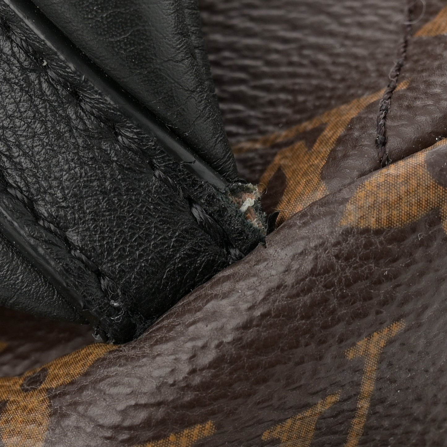 Monogram Palm Springs Backpack MM