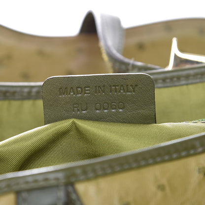 Christian Dior Ostrich Double Saddle Bag Green 7 of 15