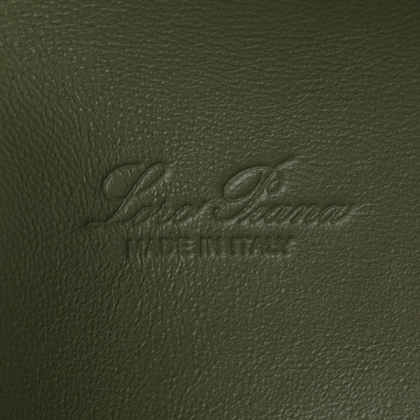 Grained Calfskin L19 Extra Pocket Pouch Sage Brush Leaves