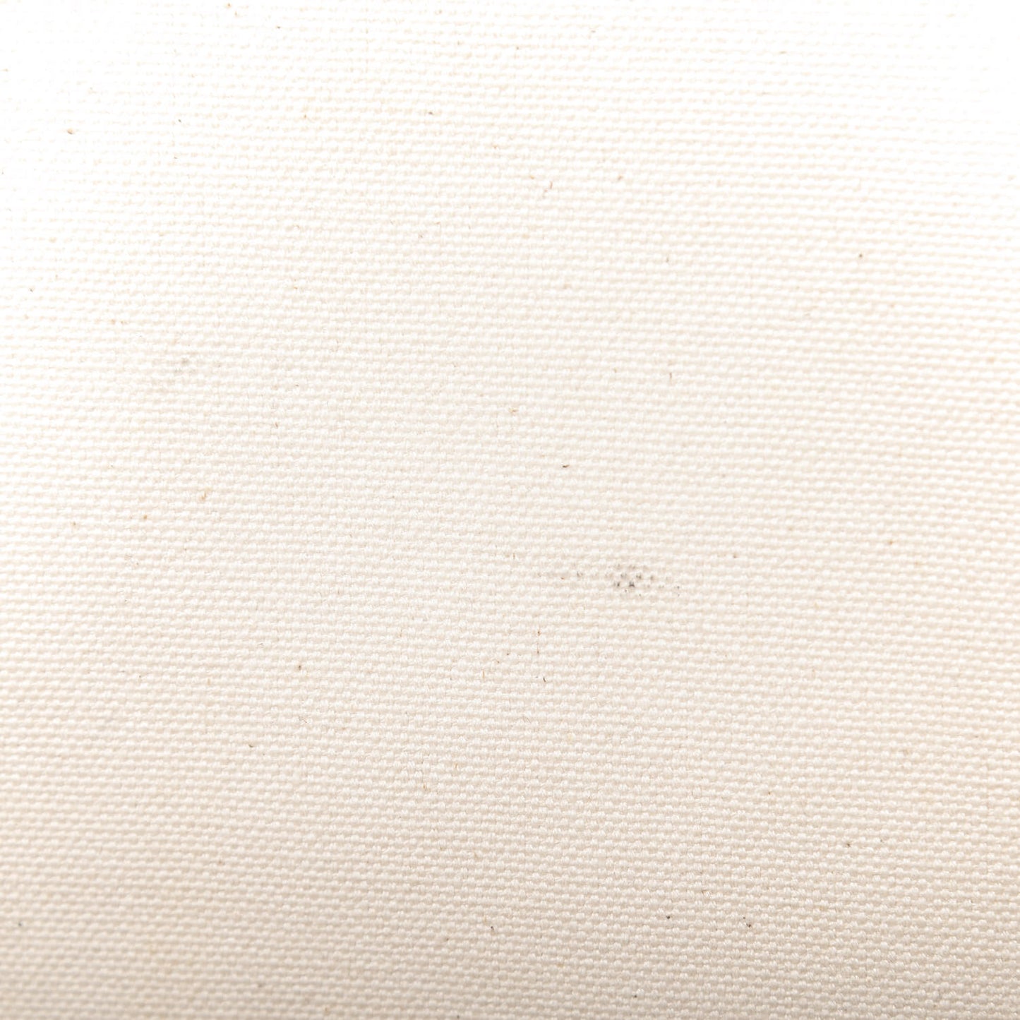 Canvas Calfskin Horizontal Cabas Natural Tan