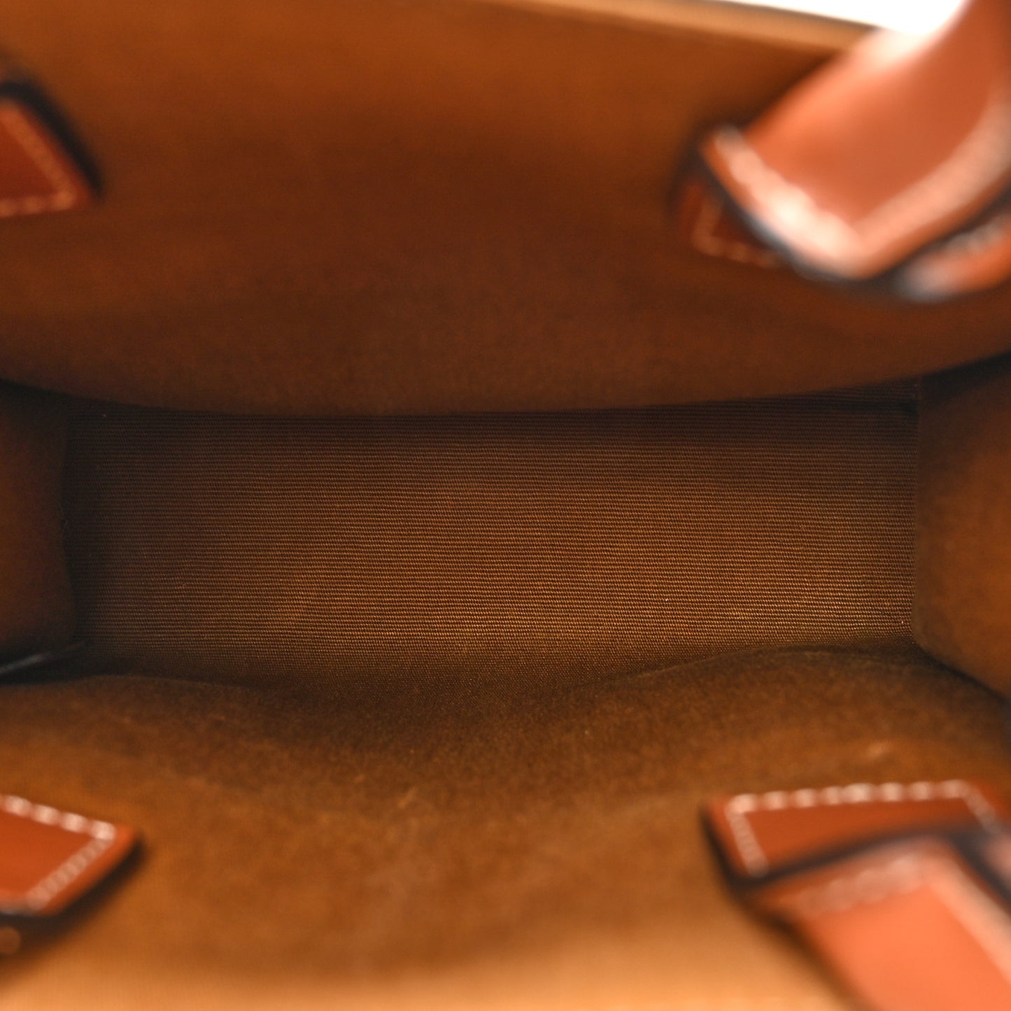 Triomphe Canvas Calfskin Mini Vertical Cabas Tan