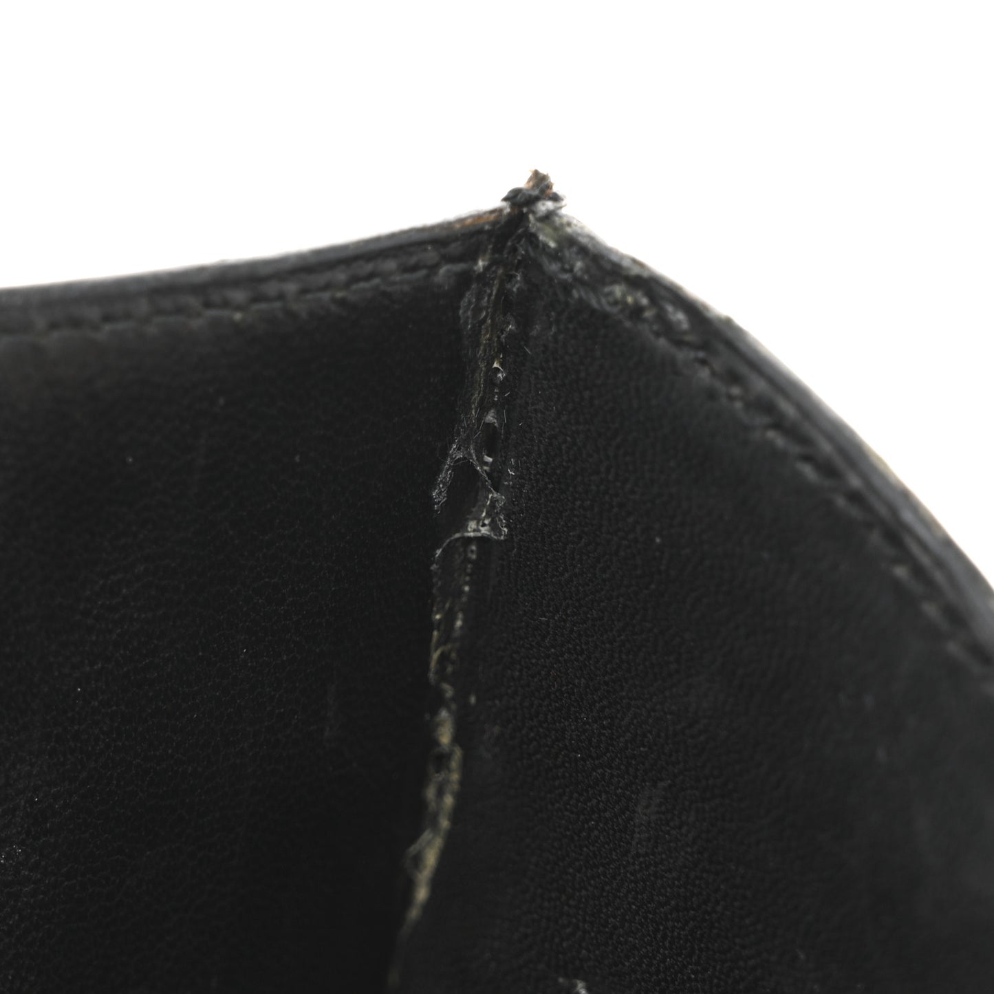 Shiny Caiman Crocodile Constance 23 Black