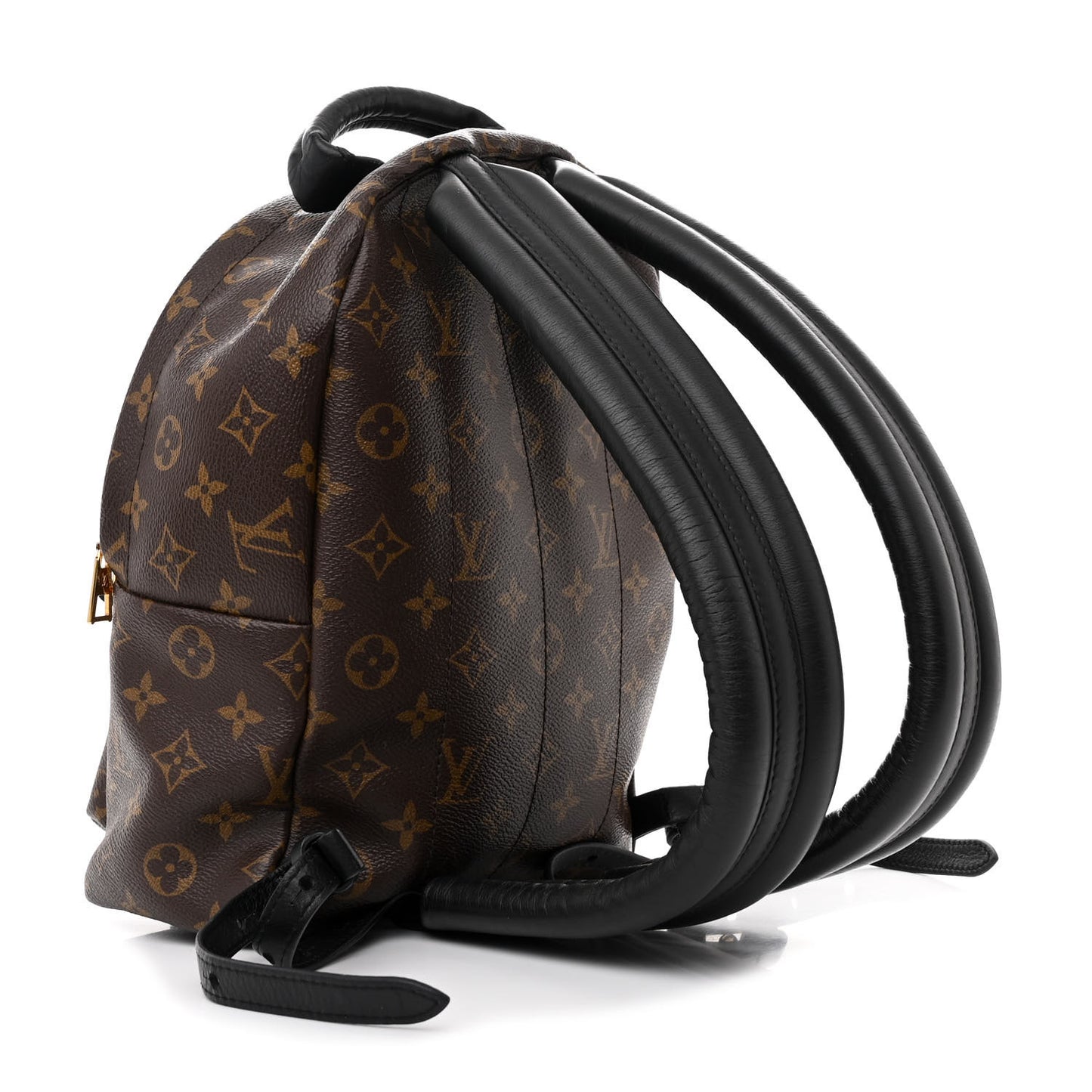 Monogram Palm Springs Backpack PM