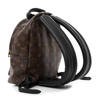 Louis Vuitton Monogram Palm Springs Backpack PM 3 of 11