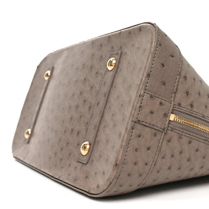 Louis Vuitton Ostrich Alma GM Gris 9 of 11