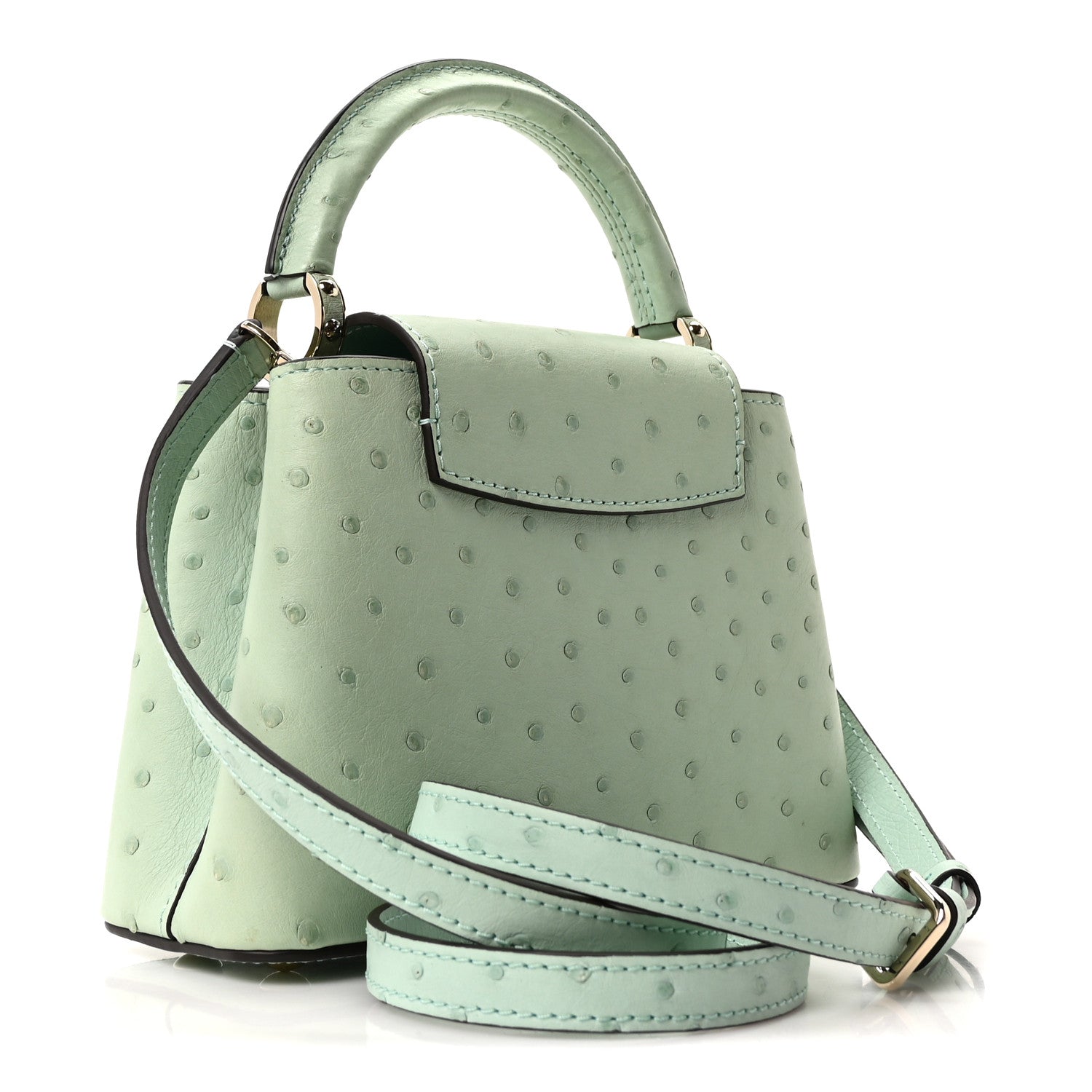 Louis Vuitton Ostrich Capucines Mini Vert Celadon 3 of 10