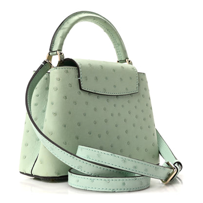 Louis Vuitton Ostrich Capucines Mini Vert Celadon 3 of 10